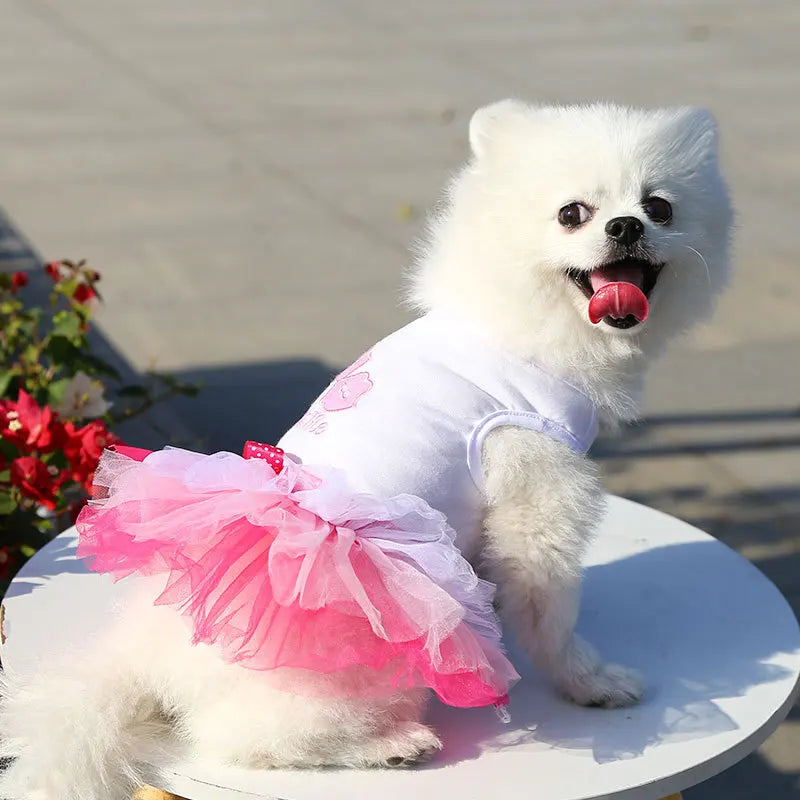 Spring Dog Lace Dress Pet Dog Clothes For Small Dog Party Birthday Wedding Dress Puppy Costume Pet Clothes - Smarsty