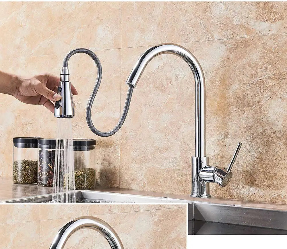 Rozin Chrome Kitchen Faucet with Pull Out Sprayer - Smarsty
