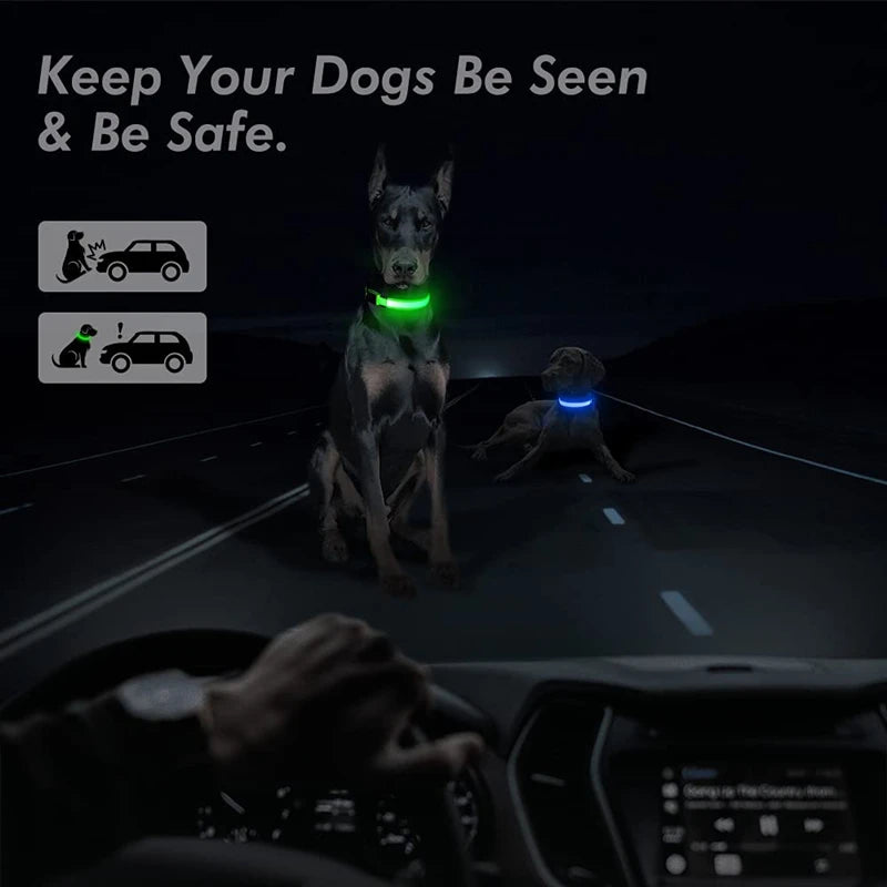 USB Charging Bright LED Dog Collar for Night Safety - Smarsty