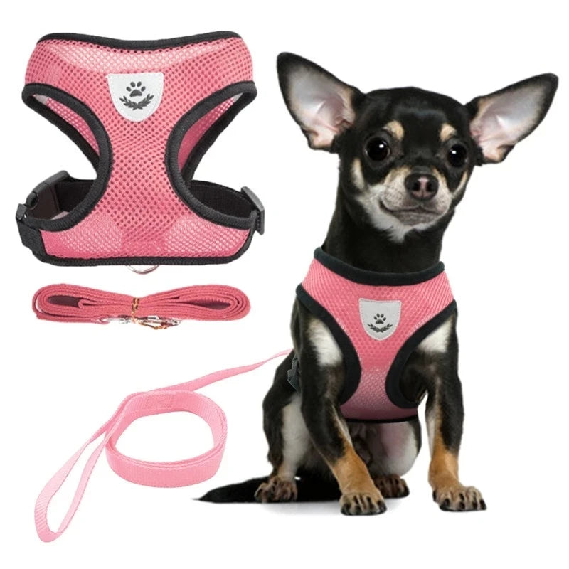 Adjustable Dog Harness and Leash Set for Small Dogs - Smarsty