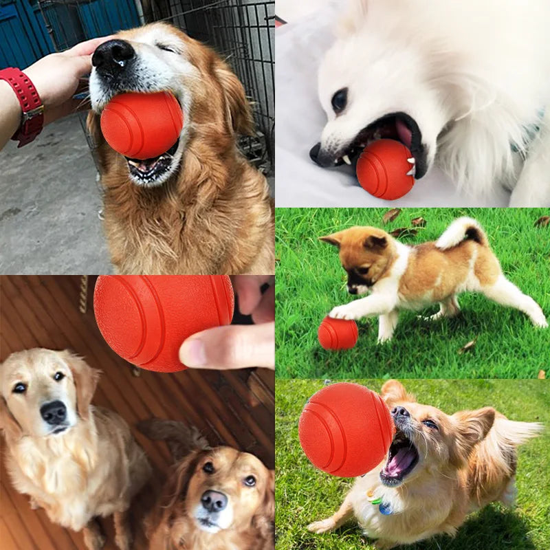Hoopet Bite-Resistant Rubber Dog Ball Toy - Smarsty