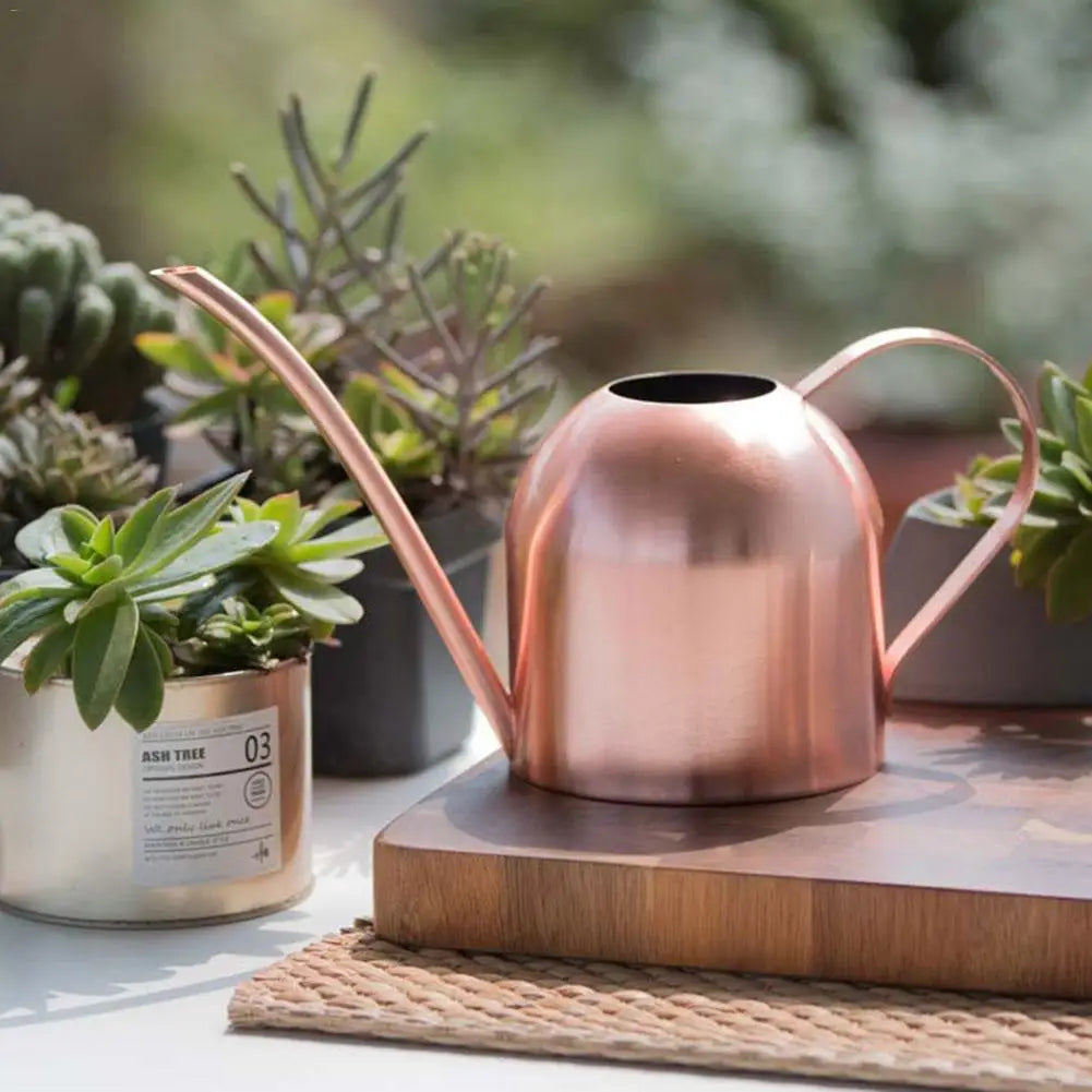 Stainless Steel Long Mouth Watering Can for Indoor Plants - Smarsty