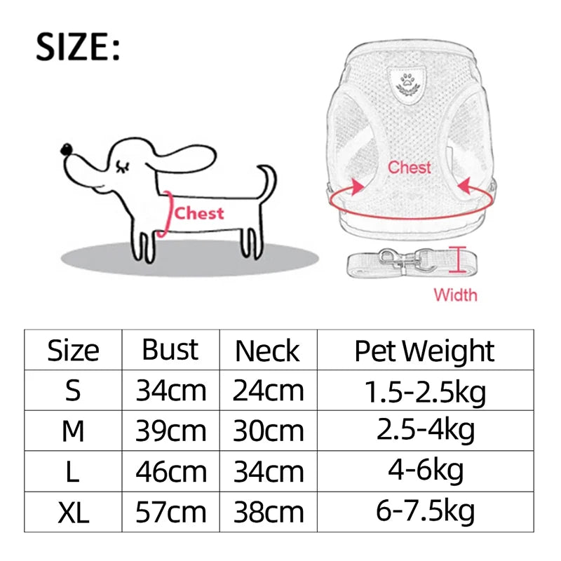 Adjustable Dog Harness and Leash Set for Small Dogs - Smarsty