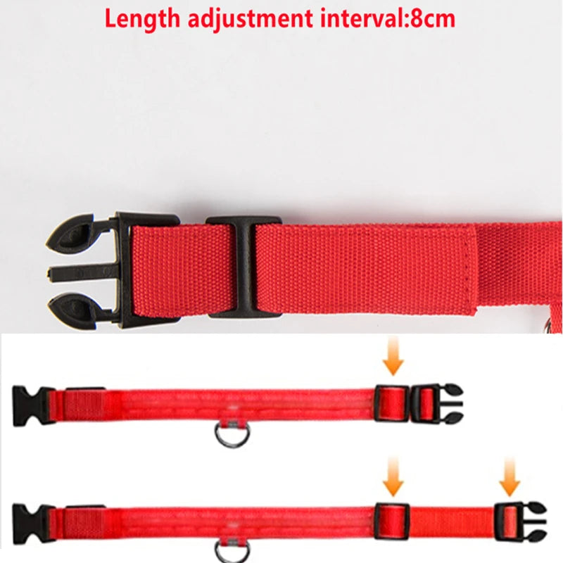 USB Charging Bright LED Dog Collar for Night Safety - Smarsty