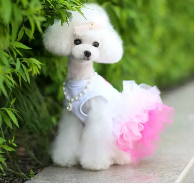 Spring Dog Lace Dress Pet Dog Clothes For Small Dog Party Birthday Wedding  Dress Puppy Costume  Pet Clothes - Smarsty