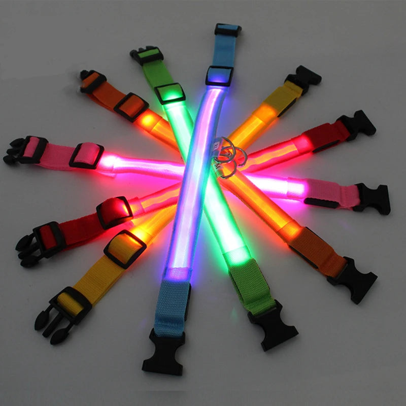 USB Charging Bright LED Dog Collar for Night Safety - Smarsty
