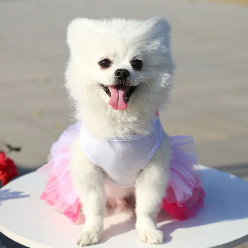 Spring Dog Lace Dress Pet Dog Clothes For Small Dog Party Birthday Wedding  Dress Puppy Costume  Pet Clothes - Smarsty