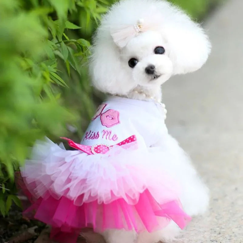 Spring Dog Lace Dress Pet Dog Clothes For Small Dog Party Birthday Wedding Dress Puppy Costume Pet Clothes - Smarsty