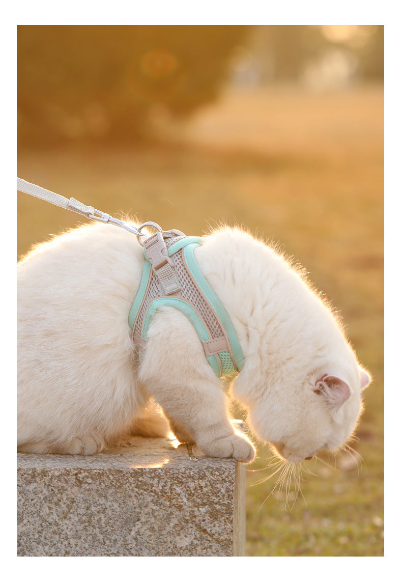 Reflective Adjustable Pet Harness for Outdoor Dogs - Smarsty