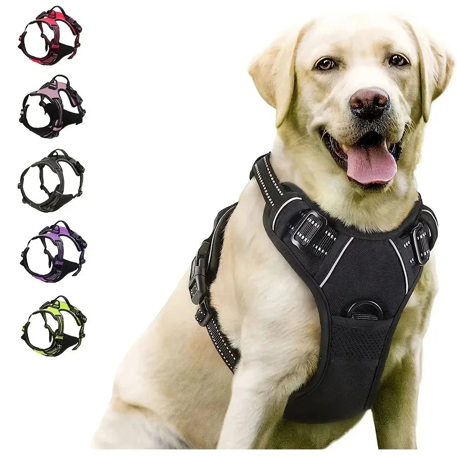 Personalized Leather Dog Harness and Collar Set - Smarsty