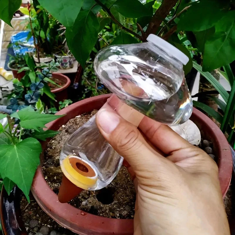 Automatic Love Shaped Plant Waterer for Easy Irrigation - Smarsty