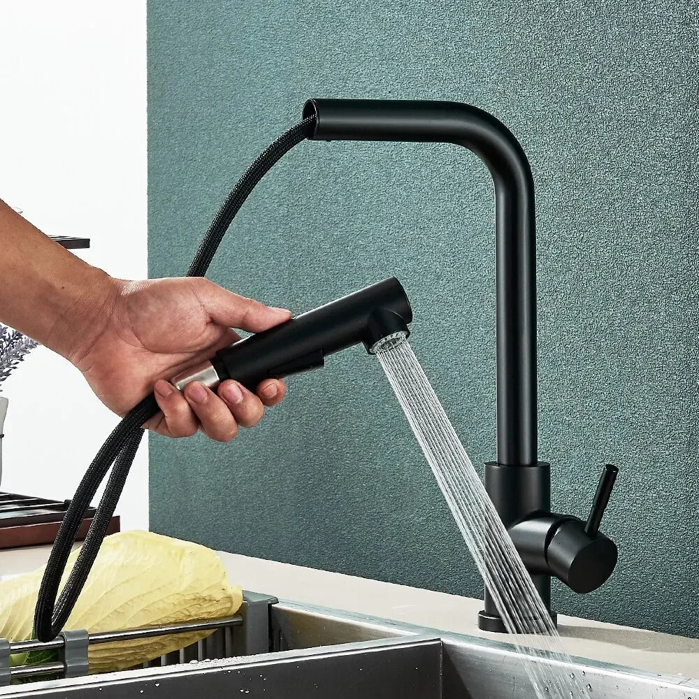 Black Stainless Steel Pull Out Kitchen Faucet with Free Shipping - Smarsty