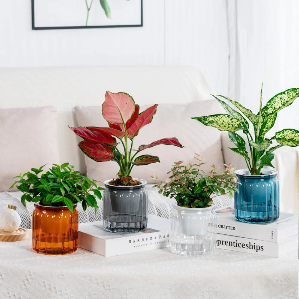 New Self Watering Hydroponic Plants Pot Plastic Removable Mini Succulent Planter Tabletop Vase Office Bonsai Decor