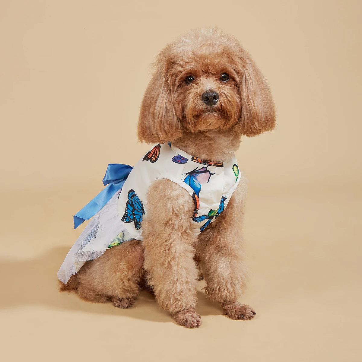 Butterfly Printed Dog Dress for Small Dogs - Smarsty