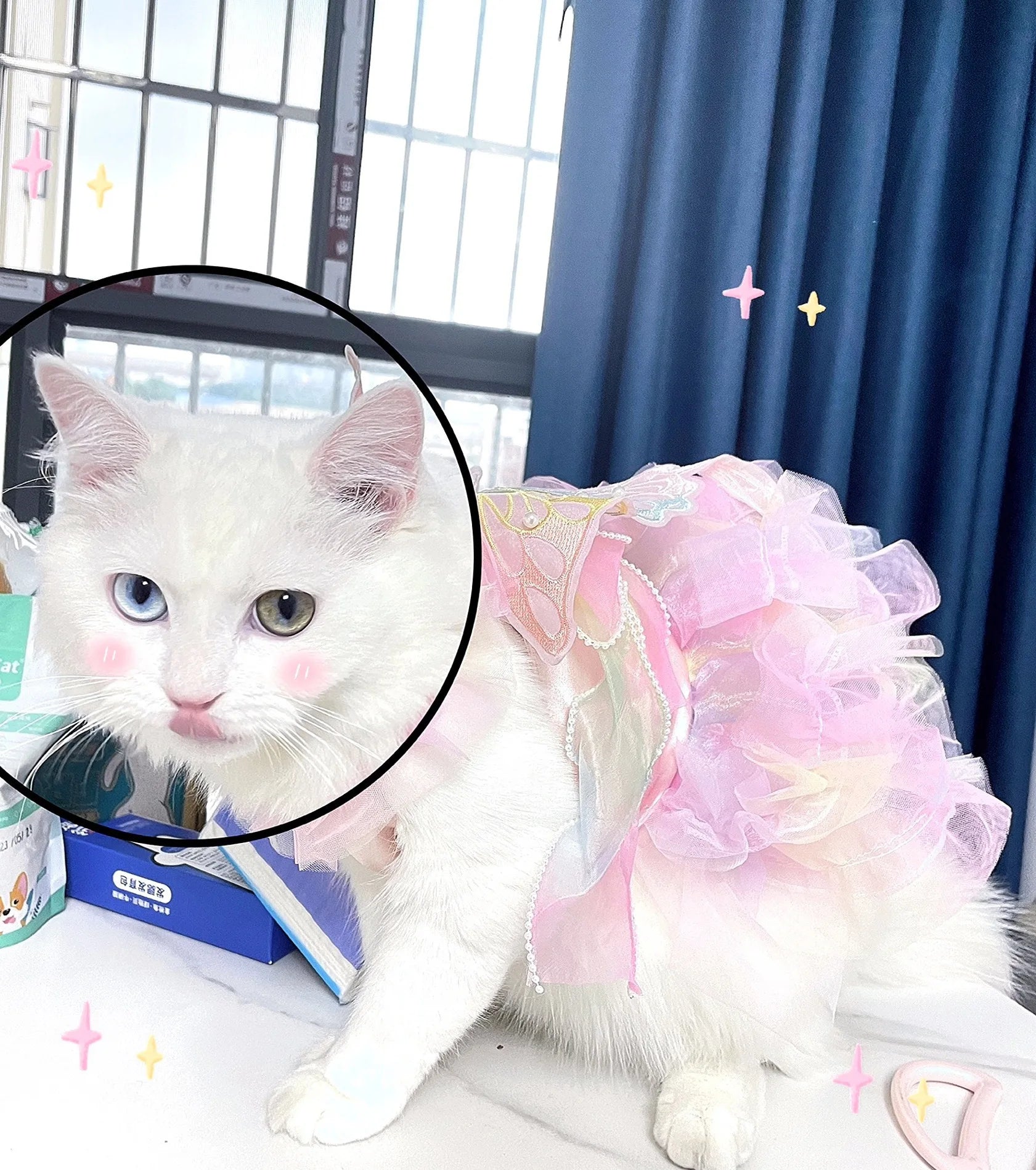 Princess Style Lace Skirt Dog Cat Dress - Smarsty