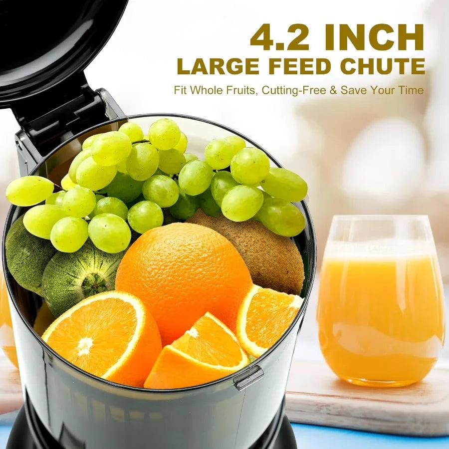 Cold press juicer with 4.2inch large feed chute for whole fruits and vegetables slow juicing extraction machine with 250W masti