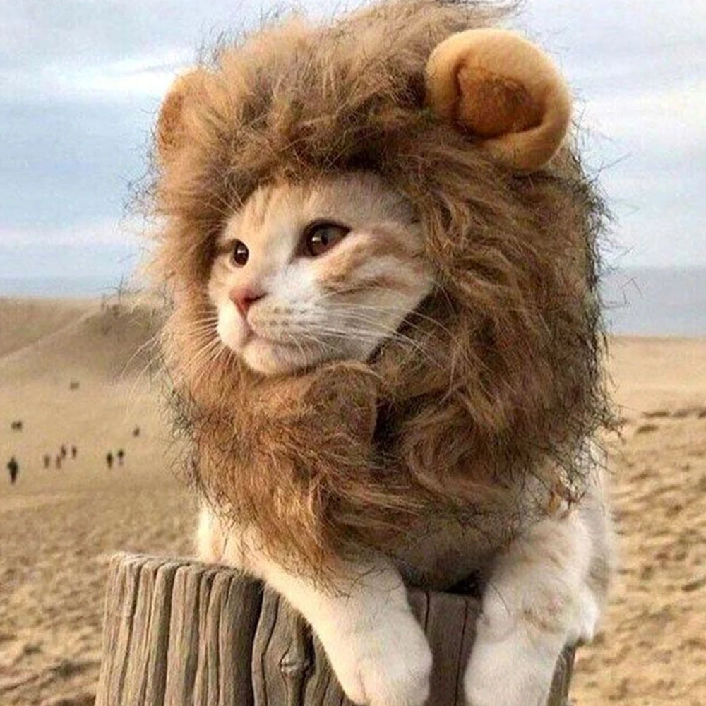 Cat Lion Mane Costume Wig for Fun Dress Up - Smarsty