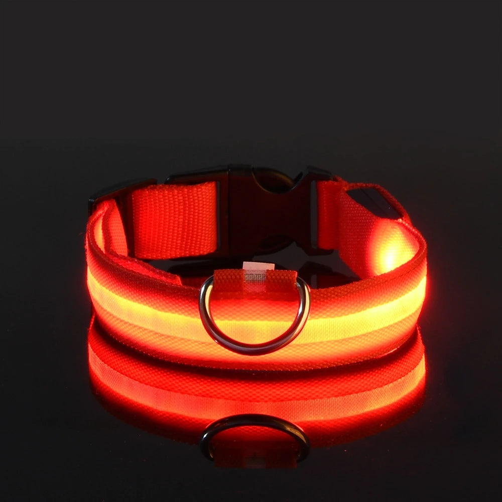 Nylon LED Glow In The Dark Dog Leash - Smarsty