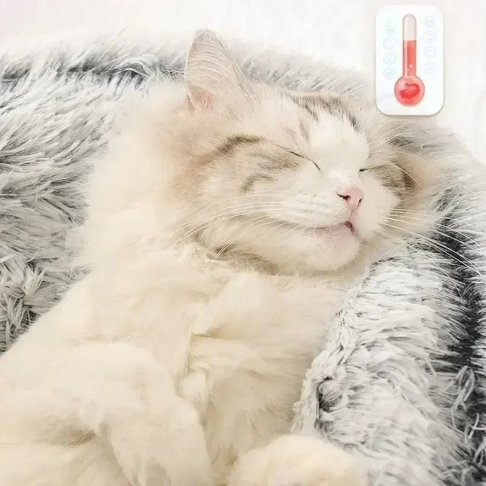 Cozy Plush Cat Bed for Warm Comfortable Sleep - Smarsty