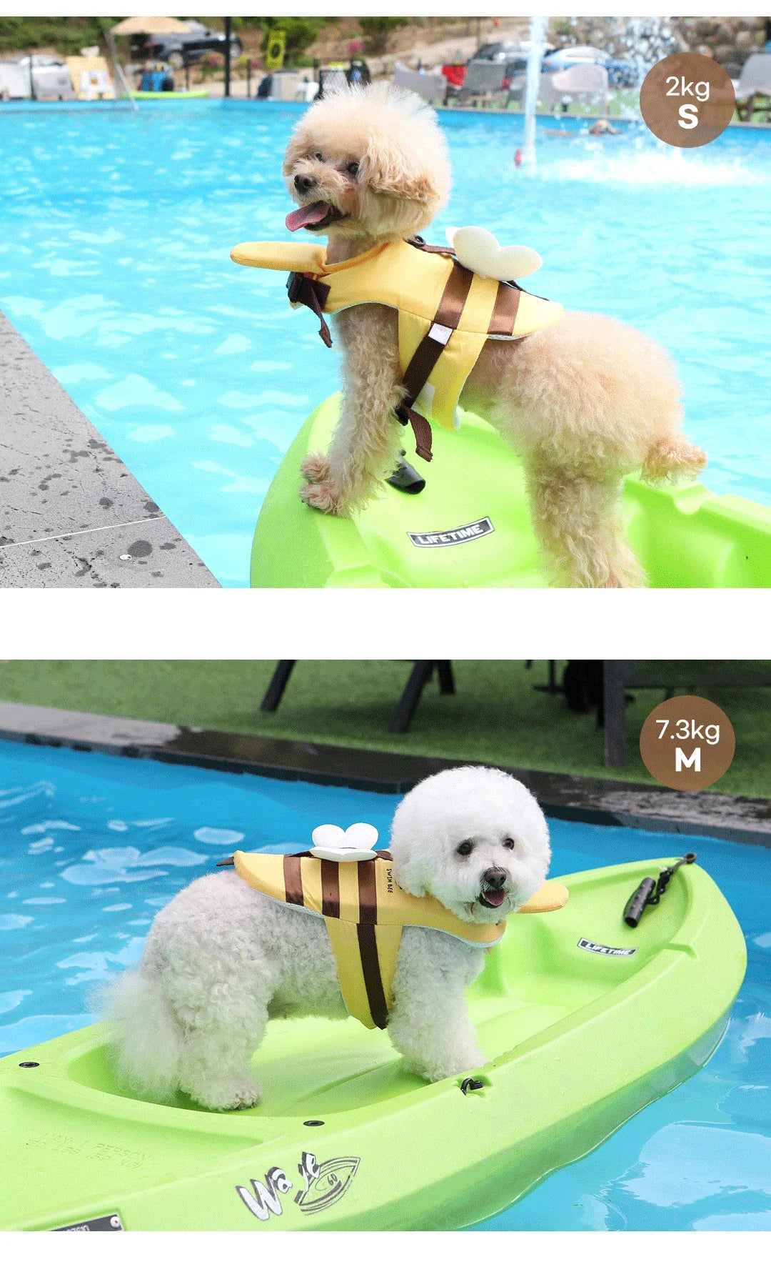 Summer Waterproof Dog Swimsuit Life Jacket for Safety - Smarsty