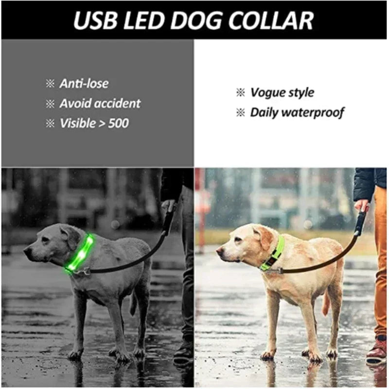 LED Glowing Dog Collar Adjustable Rechargeable Night Safety - Smarsty