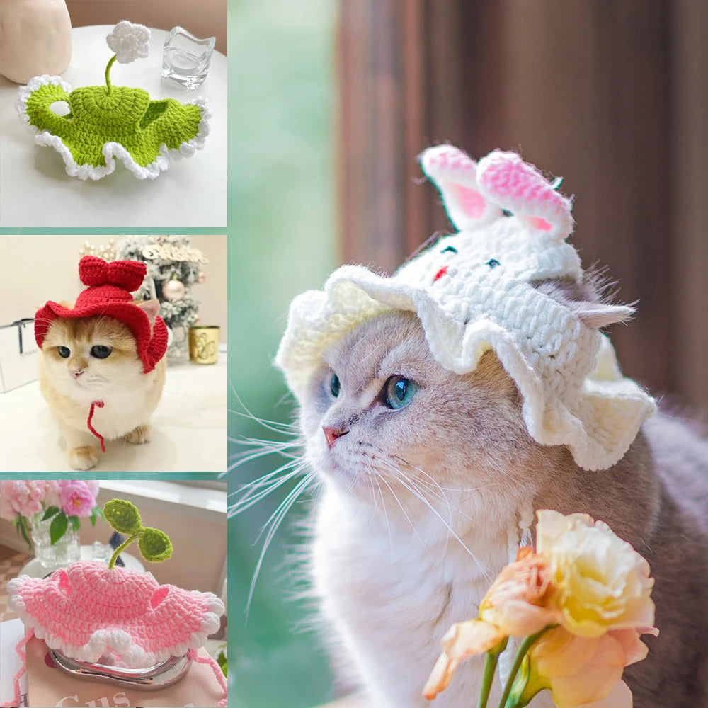 Cute Knitted Cat Hat for Warmth and Fun - Smarsty