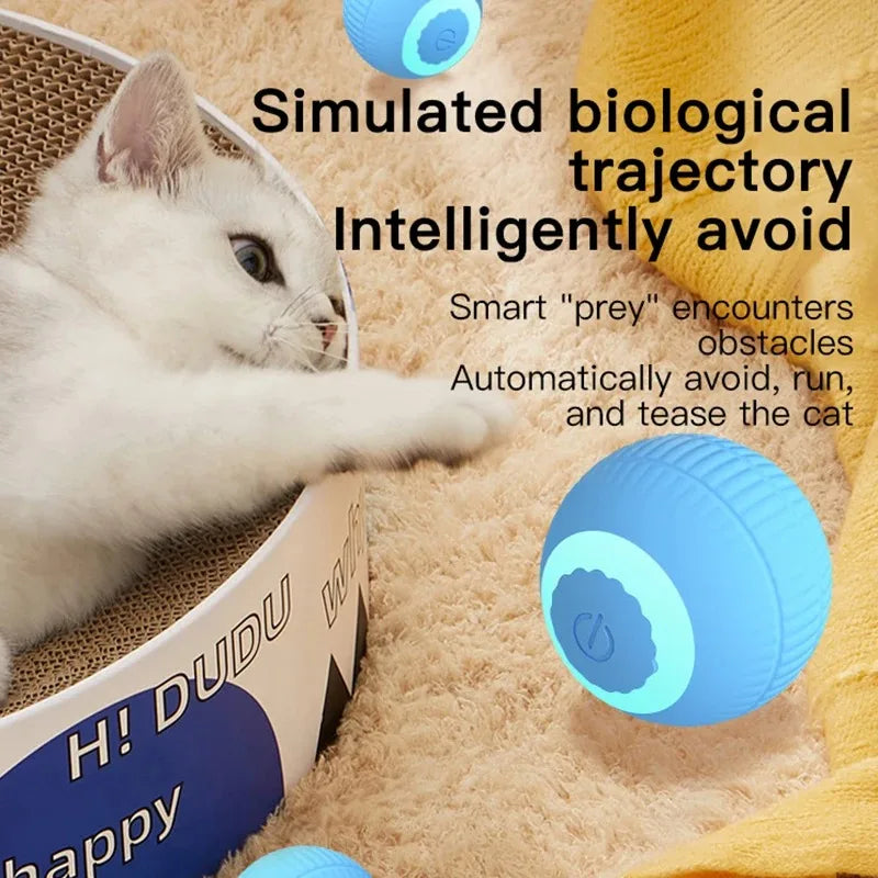 Interactive Electric Cat Ball Toy for Engaging Play - Smarsty
