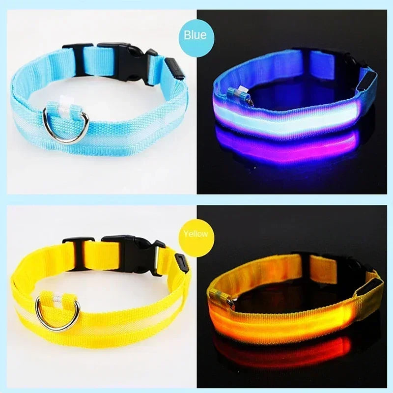 LED Glowing Dog Collar Adjustable Rechargeable Night Safety - Smarsty