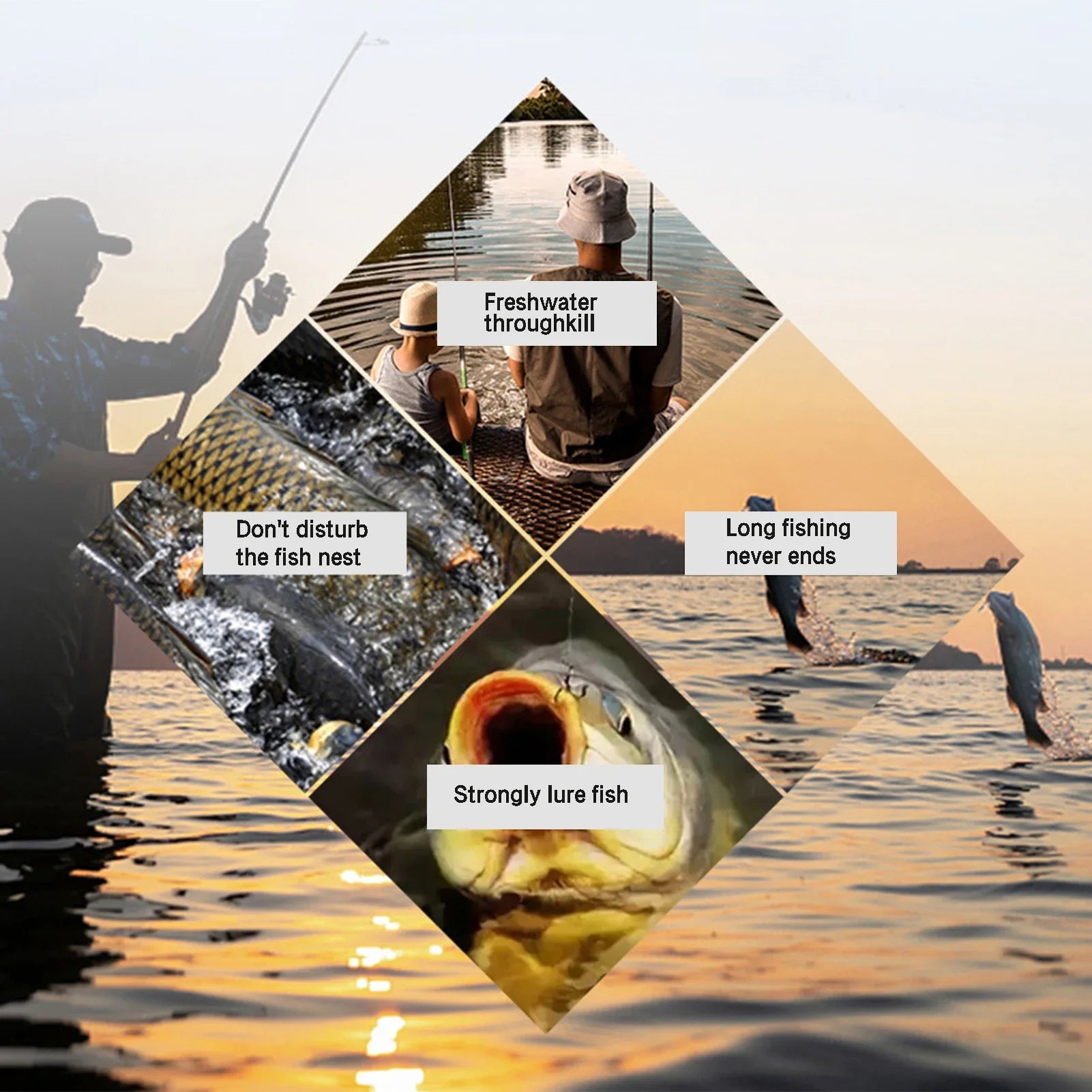 High Protein Krill Oil Fishing Attractant for Carp - Smarsty