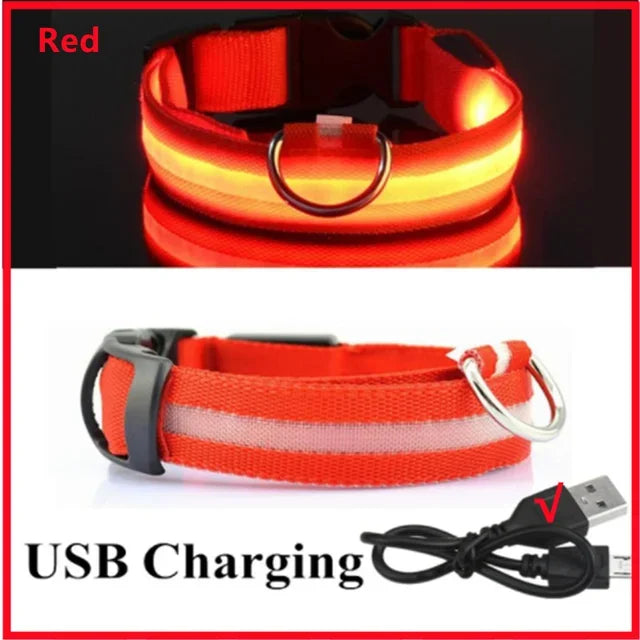 LED Glowing Dog Collar Adjustable Rechargeable Night Safety - Smarsty