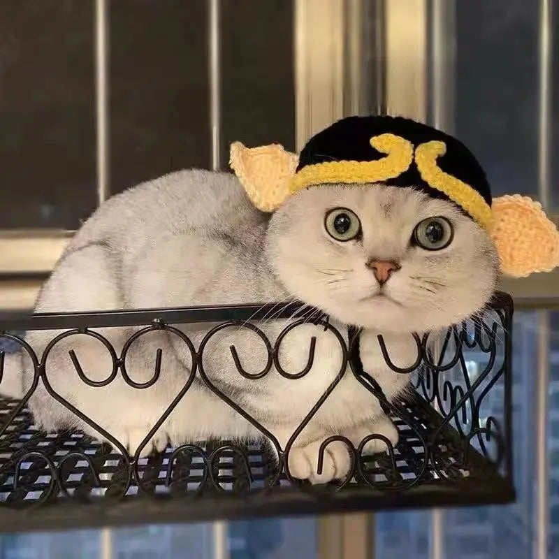 Cute Frog Cat Hat with Bunny Ears for Fun Costumes - Smarsty