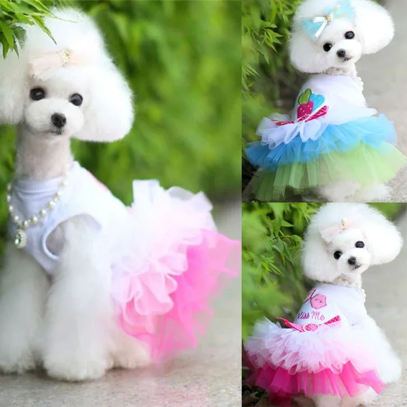 Cute Lace Puppy Dress for Summer Pet Apparel - Smarsty