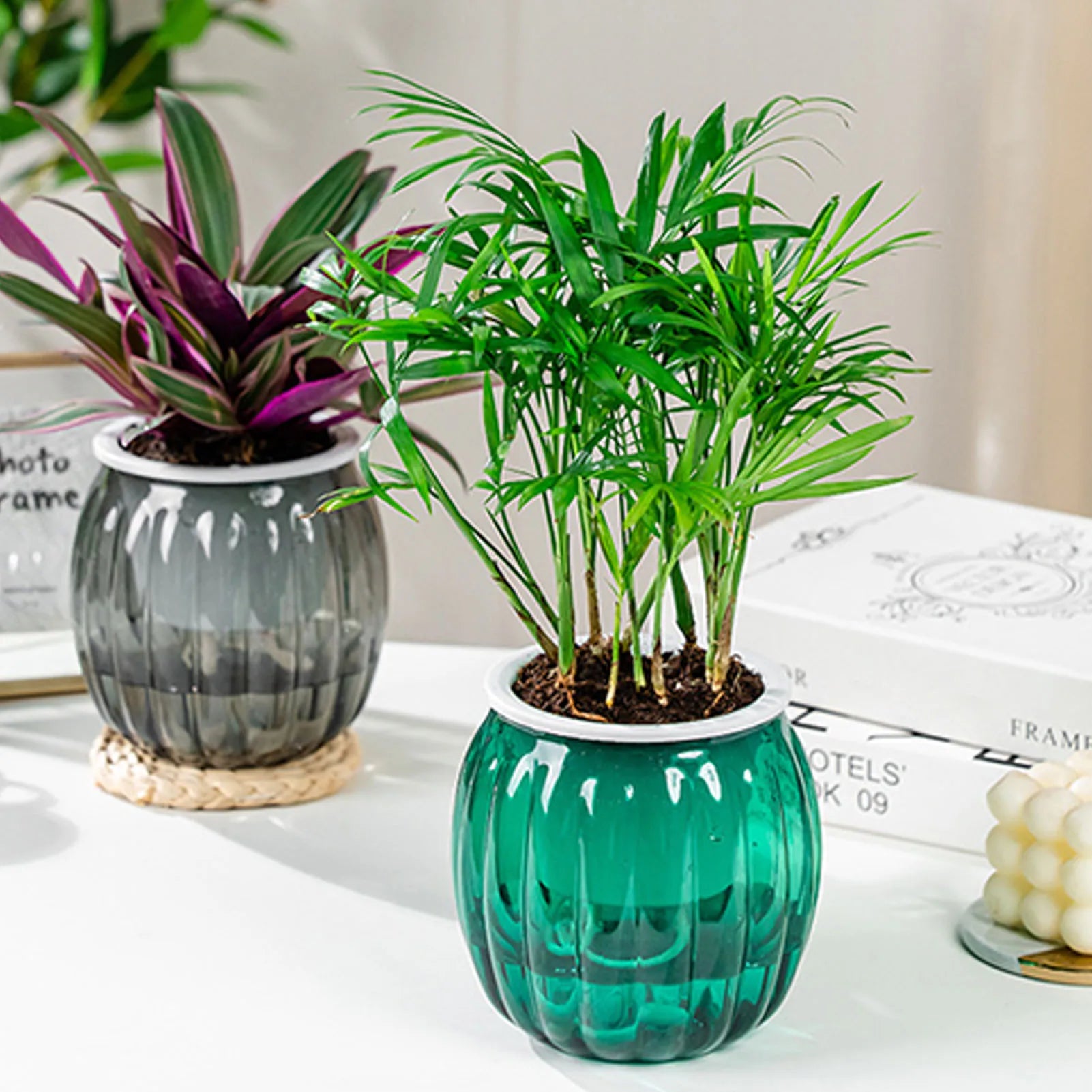 Clear Self Watering Planters Pots Modern Transparent Plants Care Pots for Garden Enthusiast Lover Gift