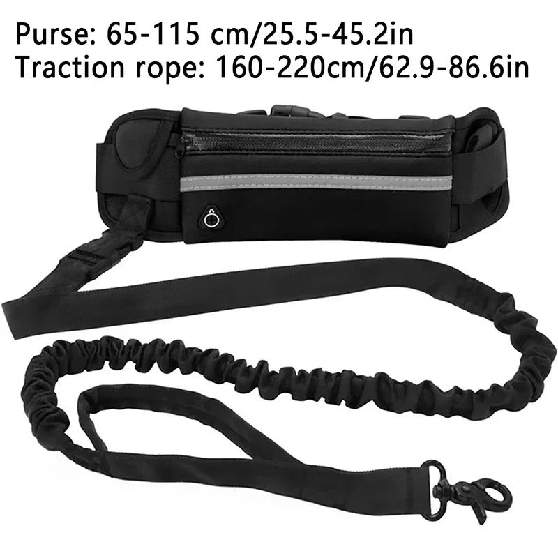 Hands Free Dog Leash with Reflective Elastic Belt - Smarsty
