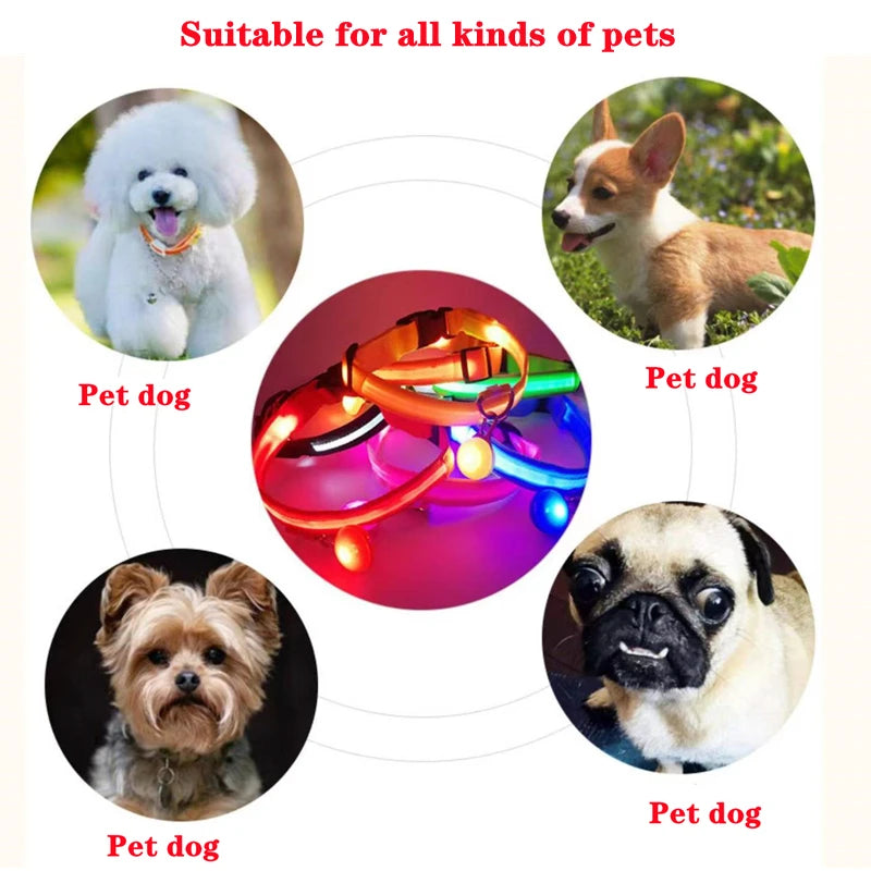 USB Charging Bright LED Dog Collar for Night Safety - Smarsty