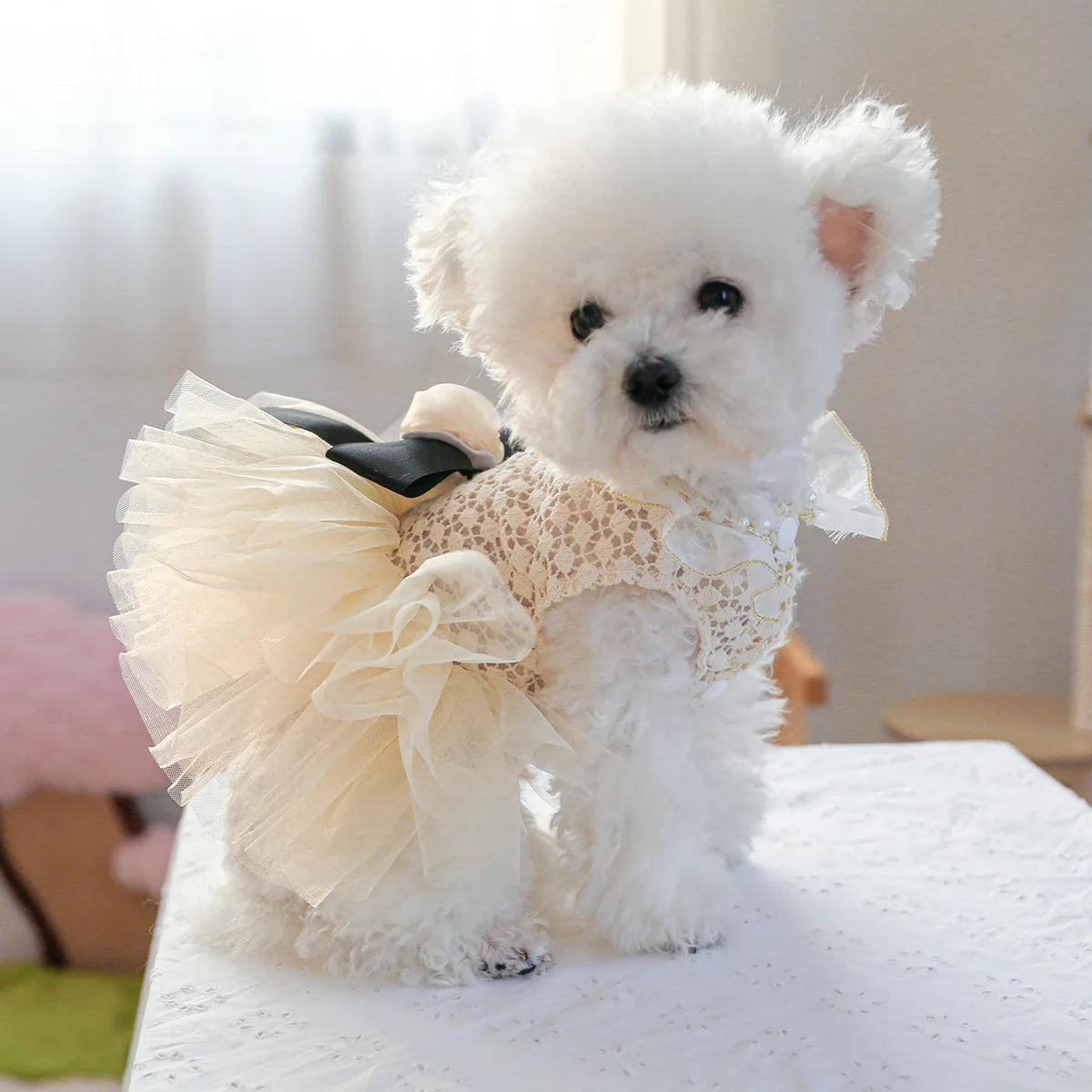 Luxury Kawaii Dog Dress with Pearl Collar for Small Pets - Smarsty