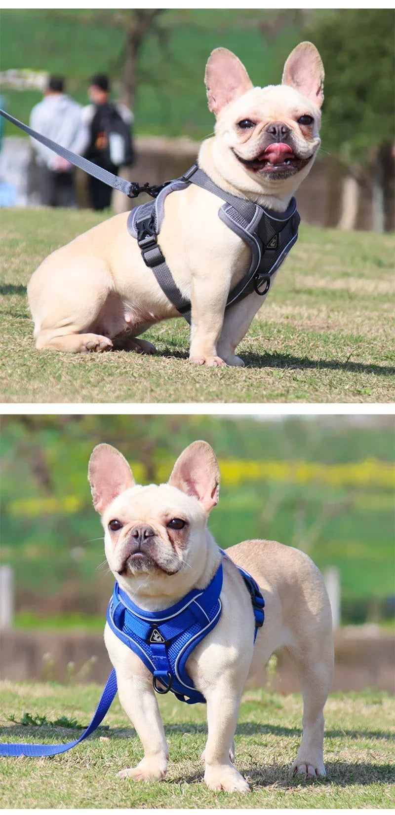 No Pull Adjustable Dog Harness and Leash Set - Smarsty