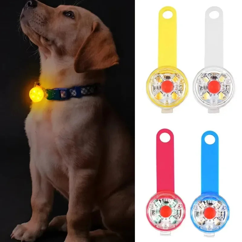 Weatherproof LED Dog Collar with USB Rechargeable Safety Light - Smarsty