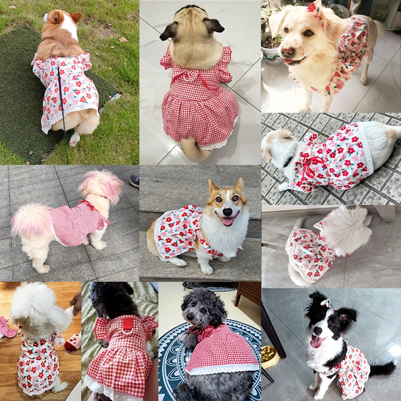 Floral Summer Pet Dress for Dogs and Cats - Smarsty