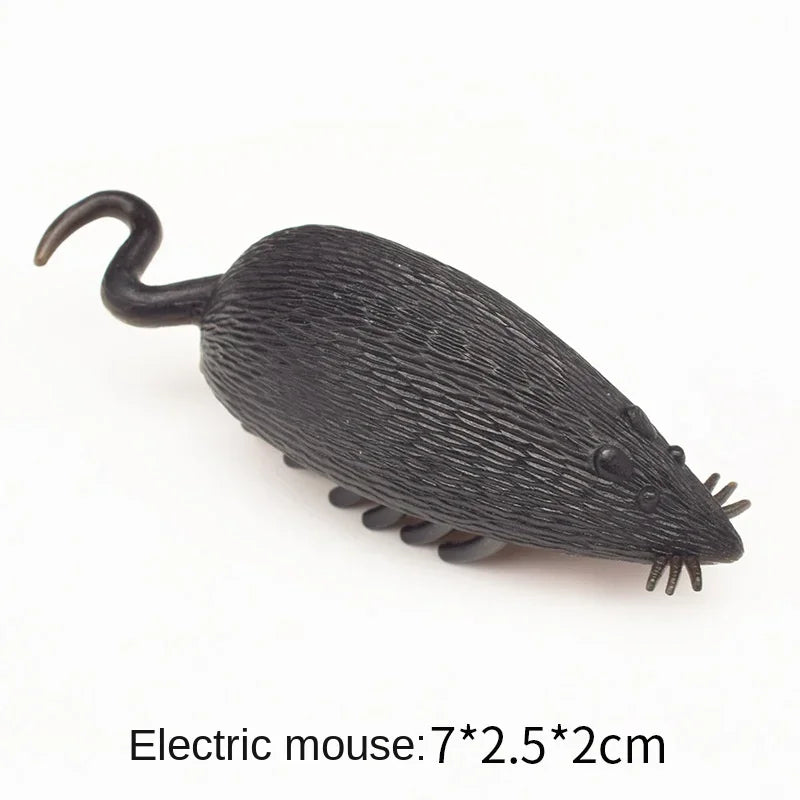 Interactive Electric Bug Cat Toy for Engaging Play - Smarsty