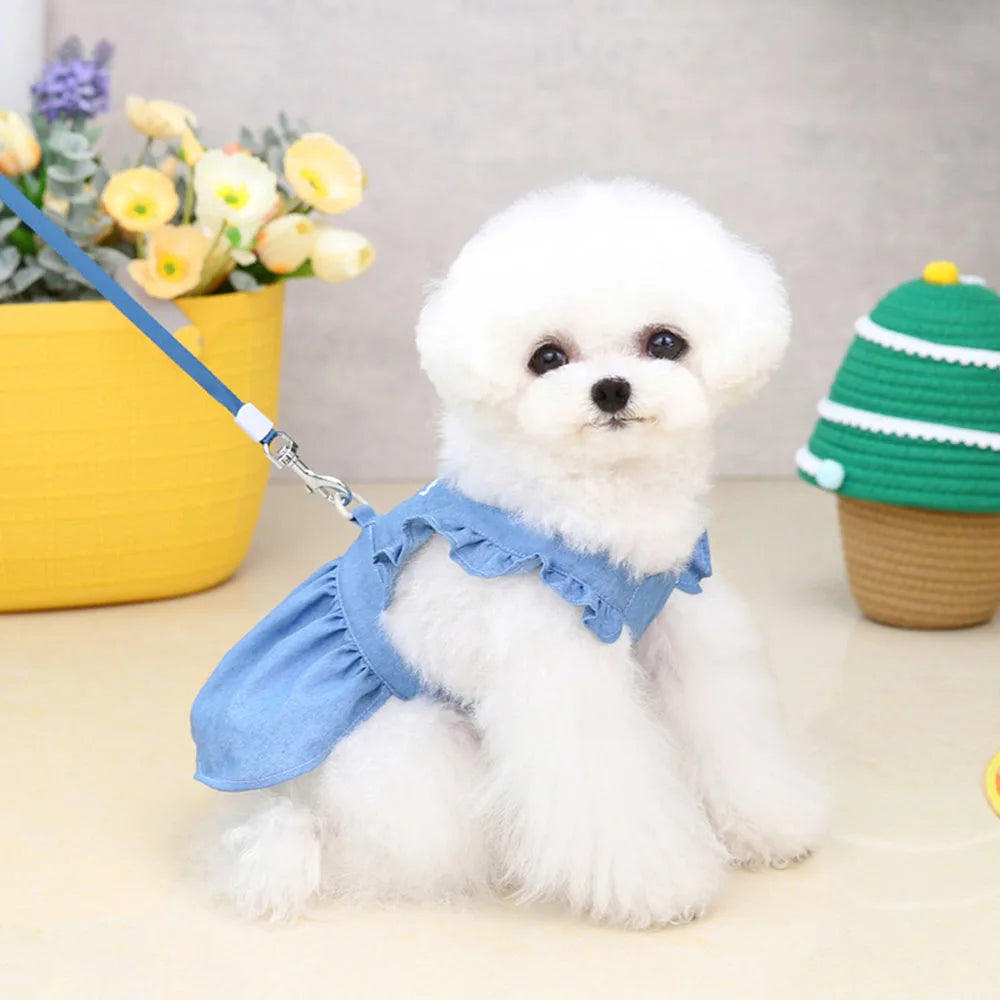 Cute Denim Dress for Small Dogs with Leash Ring - Smarsty