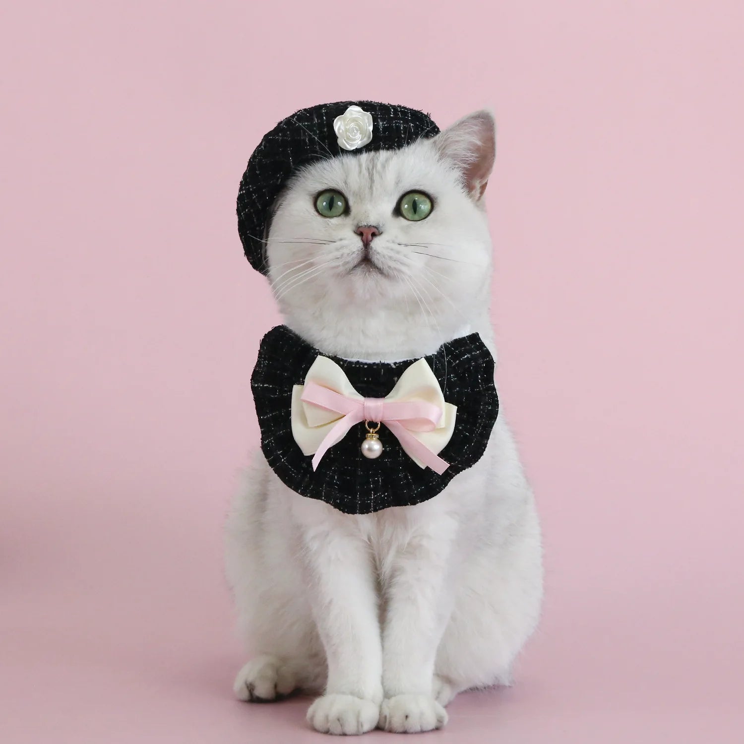 Elegant Pet Princess Outfit Set for Cats and Small Dogs - Smarsty