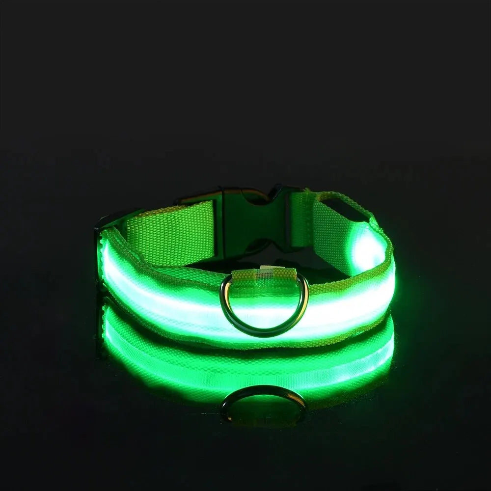 Nylon LED Dog Leash for Night Safety - Smarsty