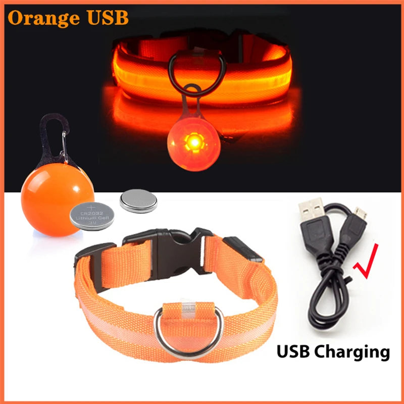 USB Charging Bright LED Dog Collar for Night Safety - Smarsty