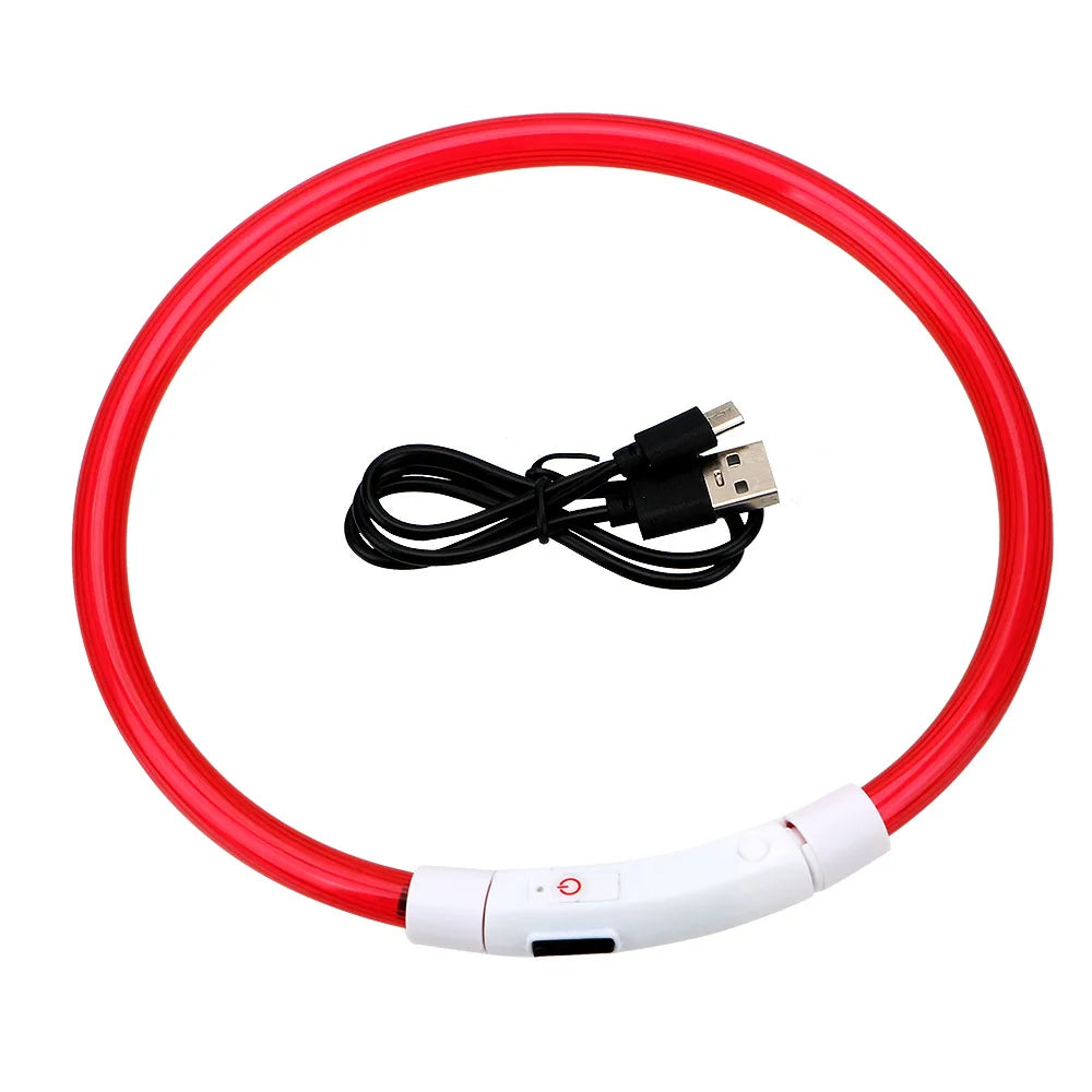 LED USB Dog Collar for Night Safety and Visibility - Smarsty