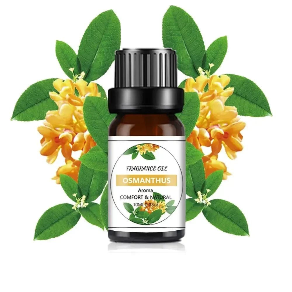 10Ml Essential Oil Fruit Flavor Natural Plant Making Diffuser Essential Oil Mango Pineapple Flavoring Oil for DIY Soap Candles - Smarsty