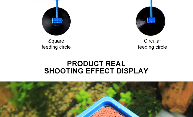 Portable Aquarium Fish Feeding Ring with Suction Cups - Smarsty