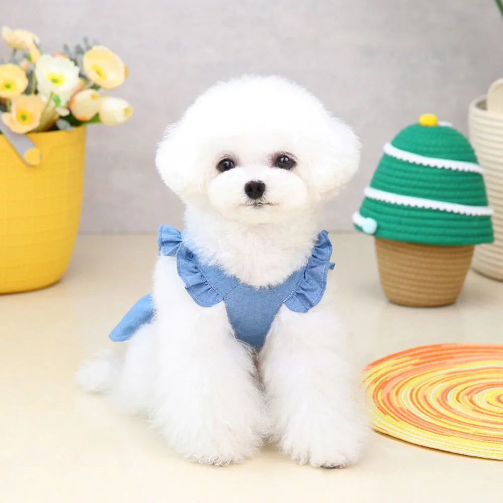 Cute Denim Dress for Small Dogs with Leash Ring - Smarsty