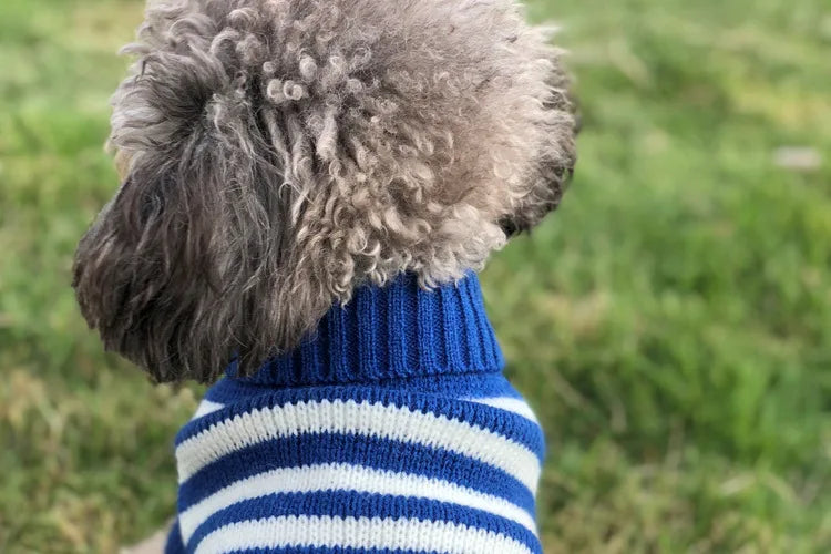 Warm Dog Coat for Small Dogs Winter Jacket - Smarsty