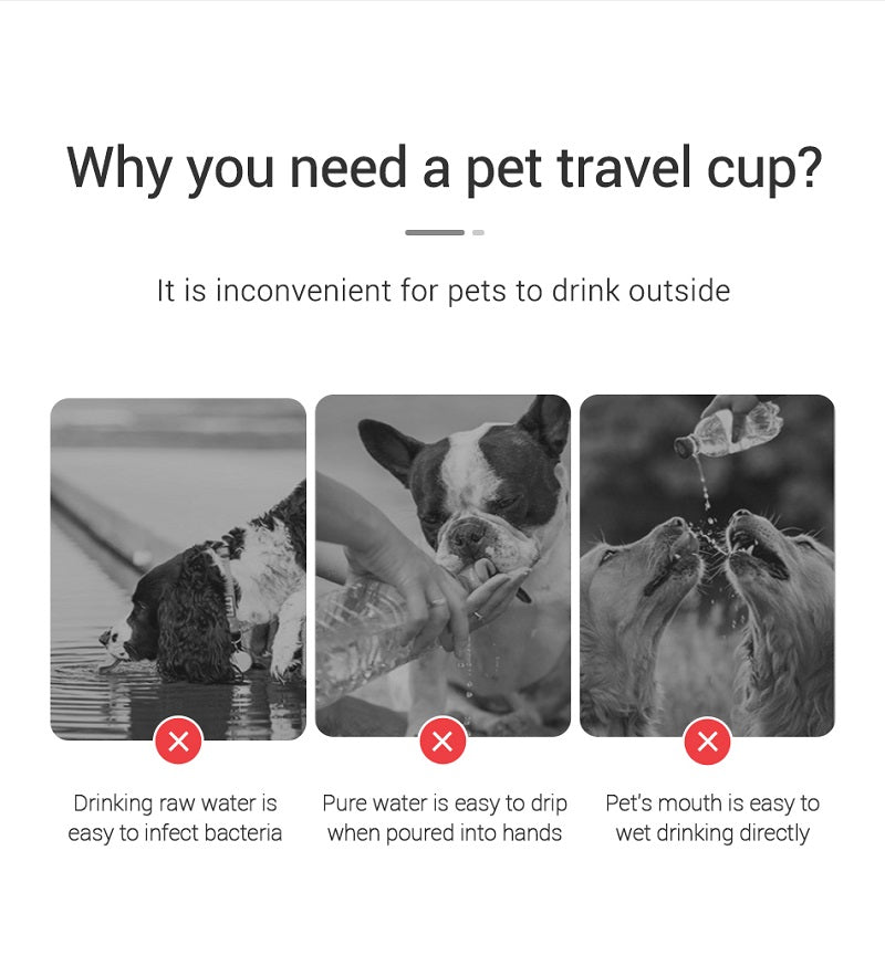 Portable Dog Water Bottle Leakproof for Outdoor Use - Smarsty